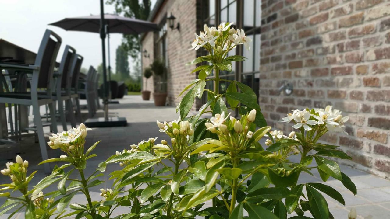 B&B 't Meesterhof Deinze Exterior foto